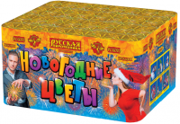 Новогодние цветы Фейерверк купить в Дудинке | dudinka.salutsklad.ru