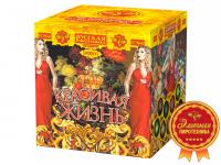 Красивая жизнь Фейерверк купить в Дудинке | dudinka.salutsklad.ru