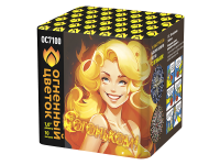 С огоньком! Фейерверк купить в Дудинке | dudinka.salutsklad.ru