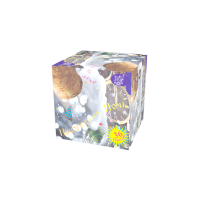 Новогодняя ночь Салют купить в Дудинке | dudinka.salutsklad.ru