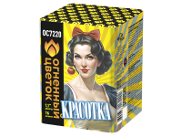 Красотка Батарея салютов купить в Дудинке | dudinka.salutsklad.ru