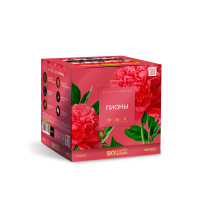 Пионы Салют купить в Дудинке | dudinka.salutsklad.ru