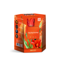 Тюльпаны Салют купить в Дудинке | dudinka.salutsklad.ru