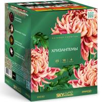 Хризантемы Фейерверк купить в Дудинке | dudinka.salutsklad.ru