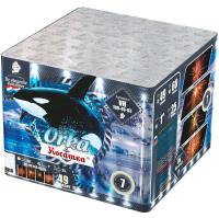 Косатка Фейерверк купить в Дудинке | dudinka.salutsklad.ru