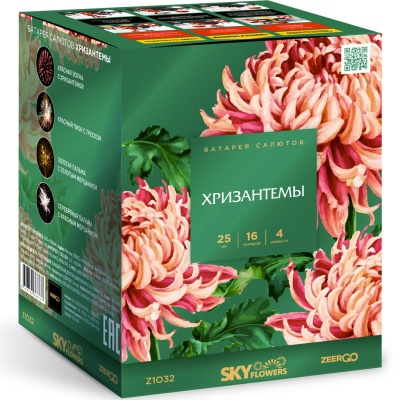 Хризантемы Фейерверк купить в Дудинке | dudinka.salutsklad.ru