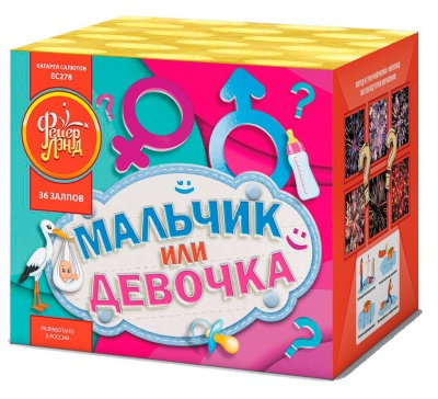 Мальчик или девочка М Фейерверк купить в Дудинке | dudinka.salutsklad.ru